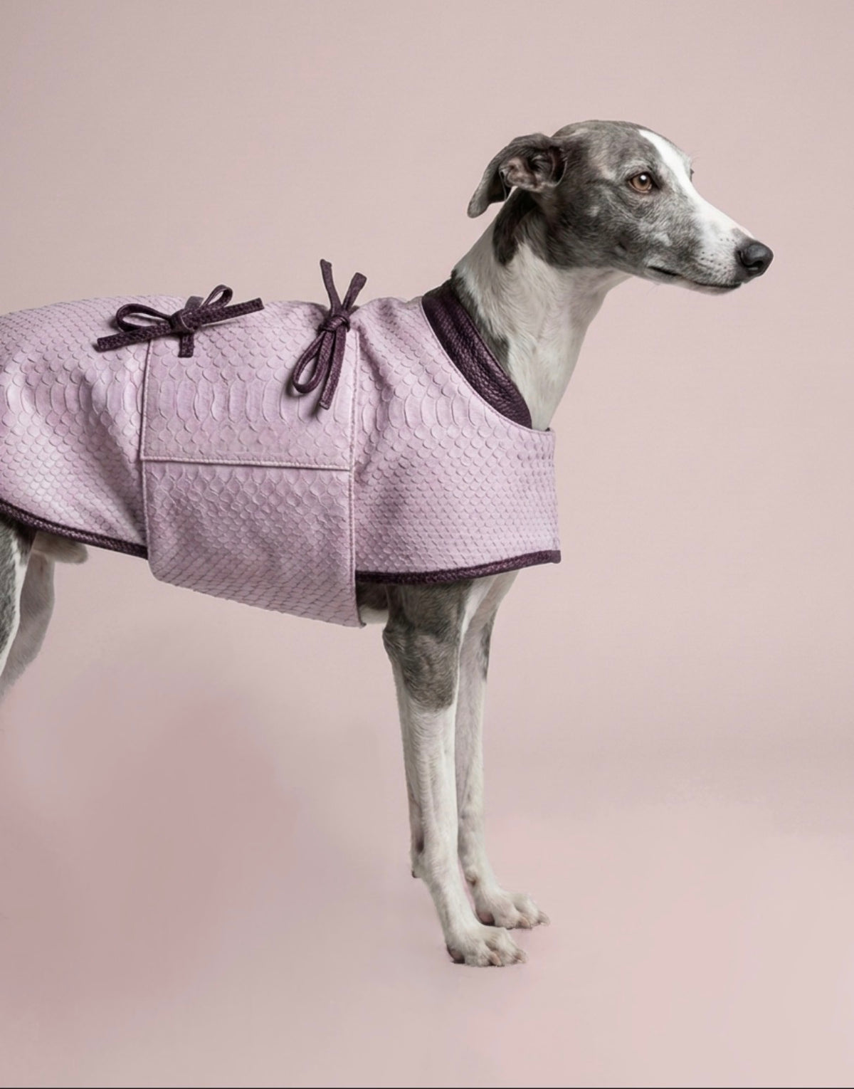 VODI -Manteau Vendôme