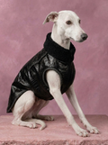 VODI - Manteau Sologne